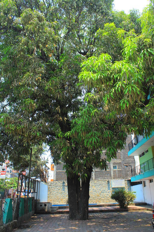 Hotel Avenida Acapulco Extérieur photo